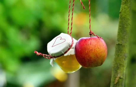 שירבו זכויותינו כרימון: מה אתם יודעים על זכויות עובדים בחגים?